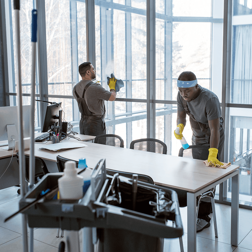 BNE Domestic Cleaning professional at work